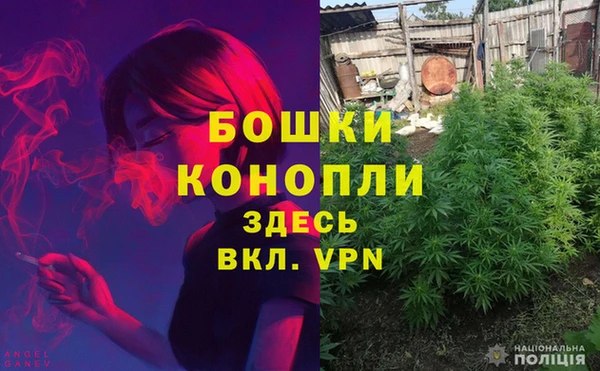 шишки Инта