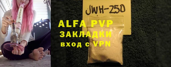 шишки Инта