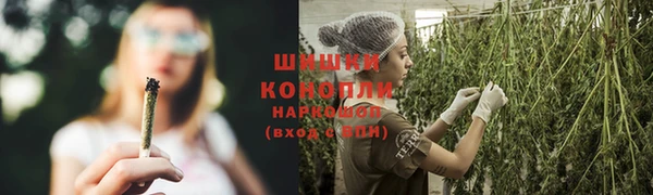 СК Инсар