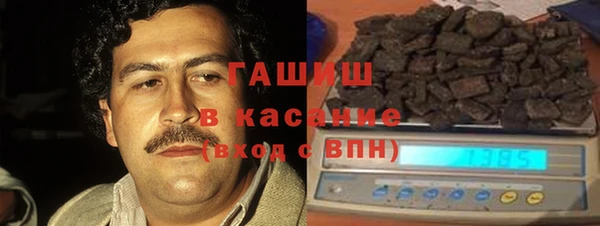 шишки Инта