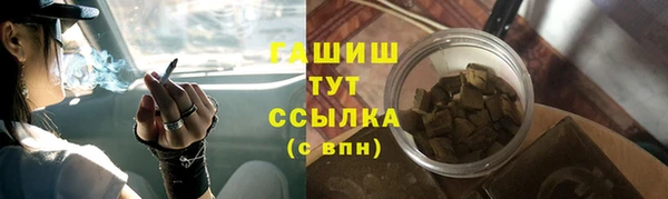 шишки Инта