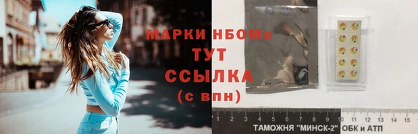 шишки Инта