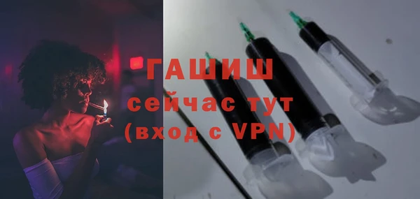 шишки Инта