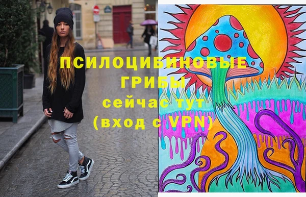 шишки Инта
