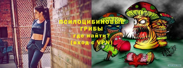 СК Инсар