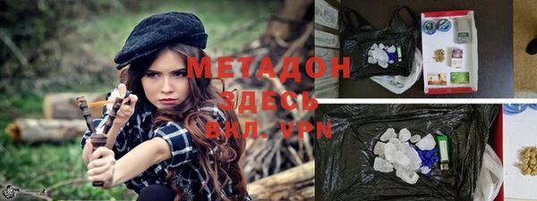 шишки Инта