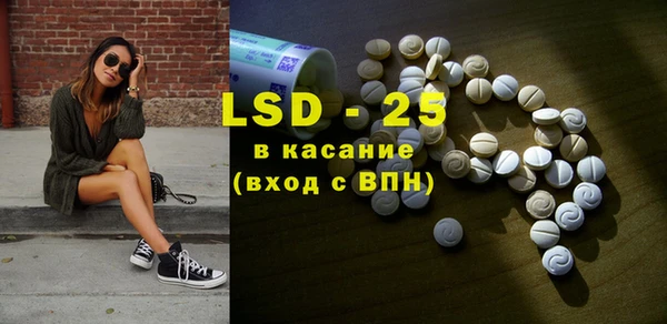 шишки Инта