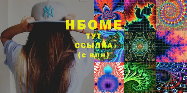 шишки Инта