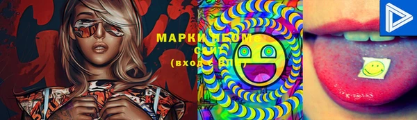 шишки Инта