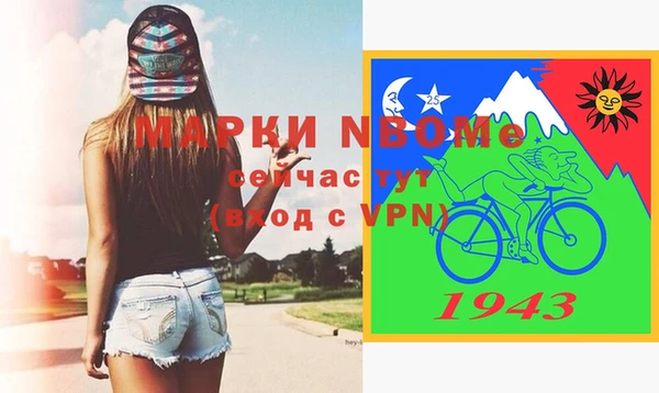 шишки Инта