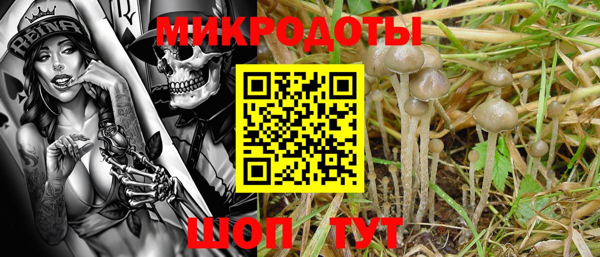 Канск  Псилоцибиновые грибы ЛСД  Вход с VPN 