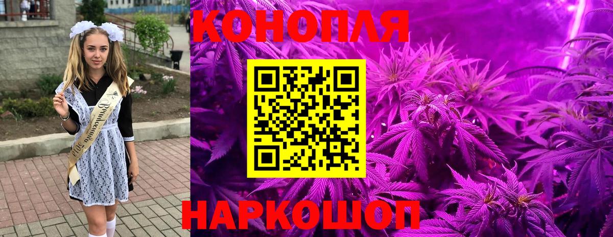 Каннабис Bruce Banner  Вход с VPN  Конопля семена  Канабис конопля  Канск 